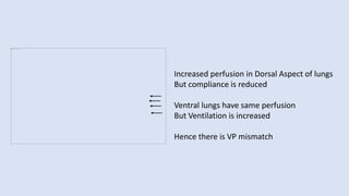 Increased perfusion in Dorsal Aspect of lungs
But compliance is reduced
Ventral lungs have same perfusion
But Ventilation is increased
Hence there is VP mismatch
 