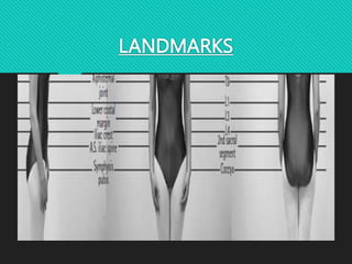 Positioning Landmarks Radiography RADIOGRAPHY OF SPINE .pptx