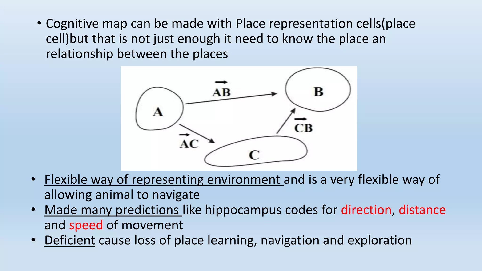 • Cognitive map can be made with Place representation cells(place
cell)but that is not just enough it need to know the place an
relationship between the places
• Flexible way of representing environment and is a very flexible way of
allowing animal to navigate
• Made many predictions like hippocampus codes for direction, distance
and speed of movement
• Deficient cause loss of place learning, navigation and exploration
 