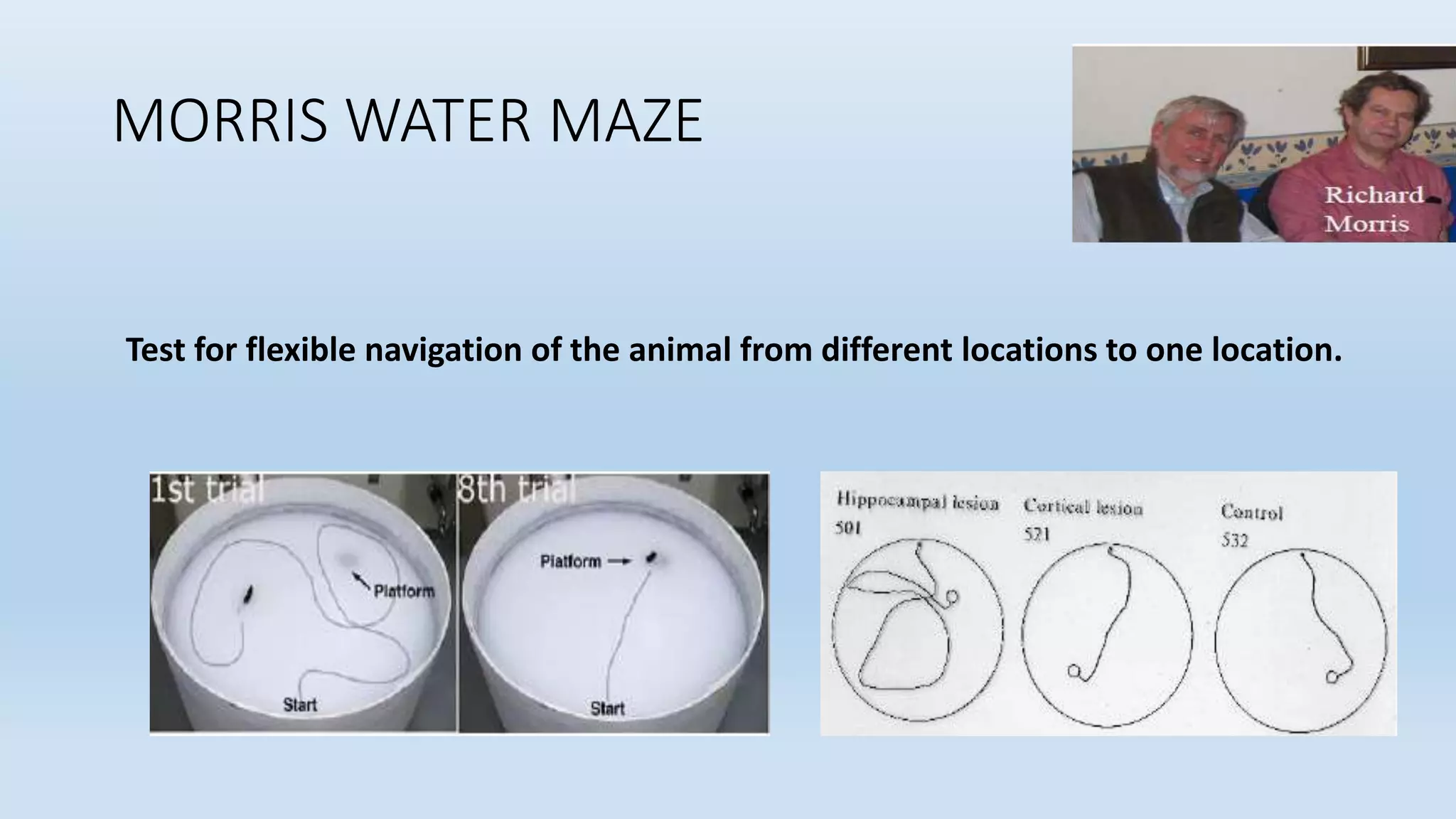 MORRIS WATER MAZE
Test for flexible navigation of the animal from different locations to one location.
 