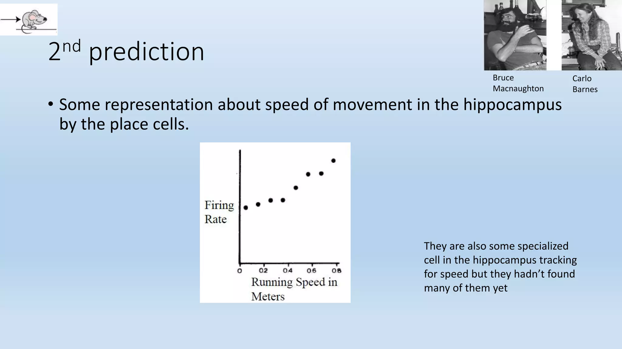 2nd prediction
• Some representation about speed of movement in the hippocampus
by the place cells.
Bruce
Macnaughton
Carlo
Barnes
They are also some specialized
cell in the hippocampus tracking
for speed but they hadn’t found
many of them yet
 