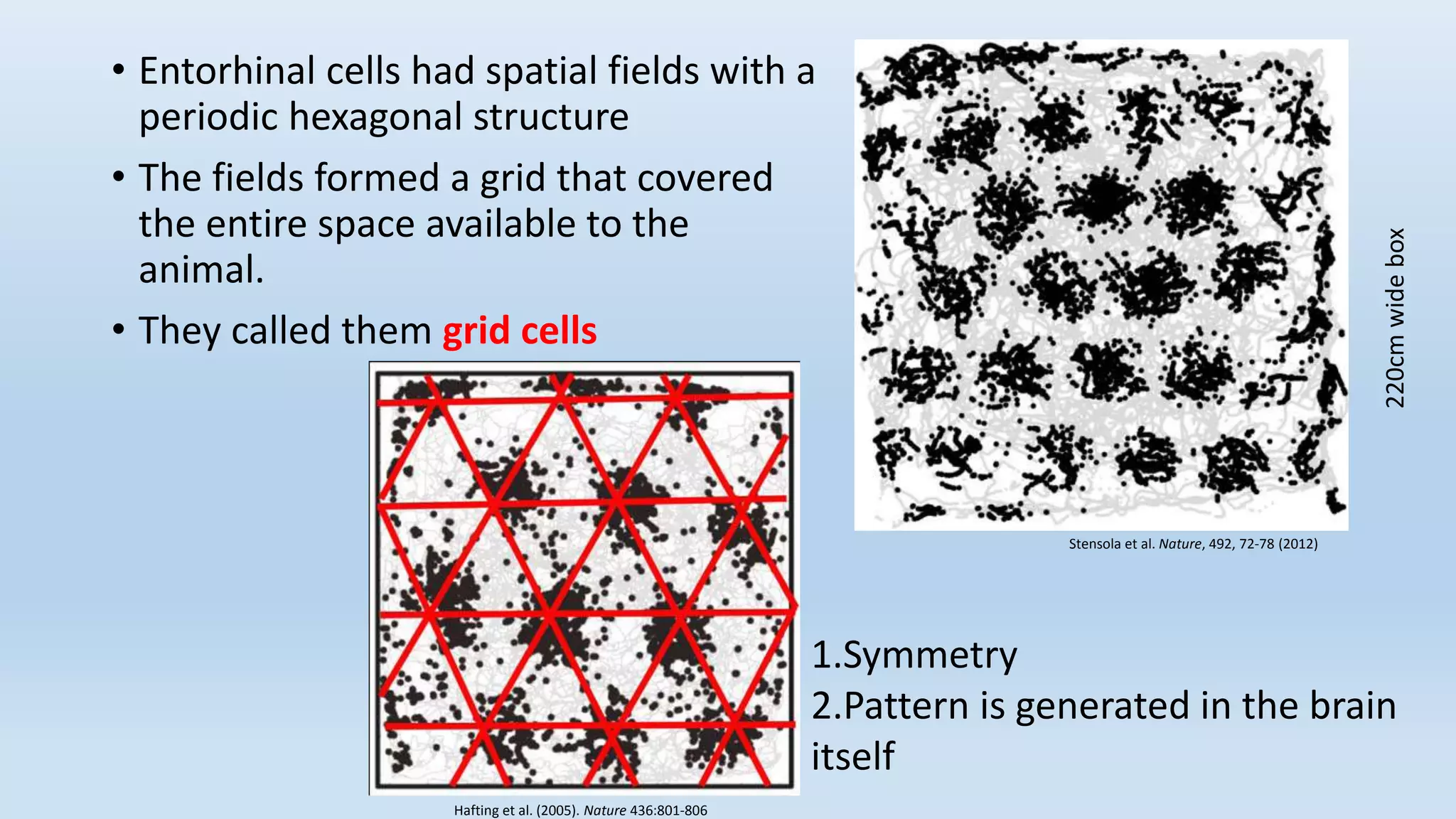 • Entorhinal cells had spatial fields with a
periodic hexagonal structure
• The fields formed a grid that covered
the entire space available to the
animal.
• They called them grid cells
220cmwidebox
Stensola et al. Nature, 492, 72-78 (2012)
Hafting et al. (2005). Nature 436:801-806
1.Symmetry
2.Pattern is generated in the brain
itself
 