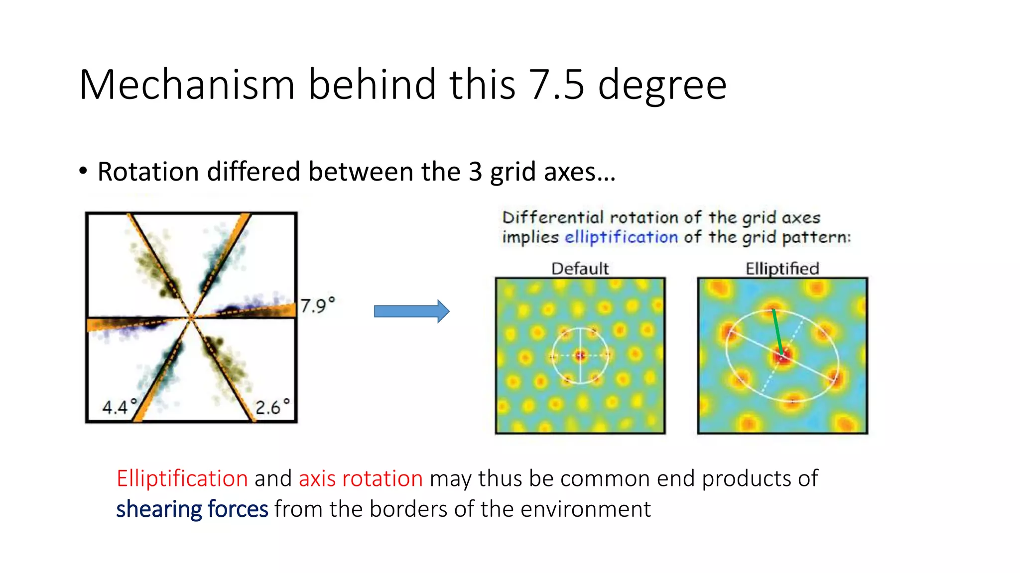 Mechanism behind this 7.5 degree
• Rotation differed between the 3 grid axes…
Elliptification and axis rotation may thus be common end products of
shearing forces from the borders of the environment
 