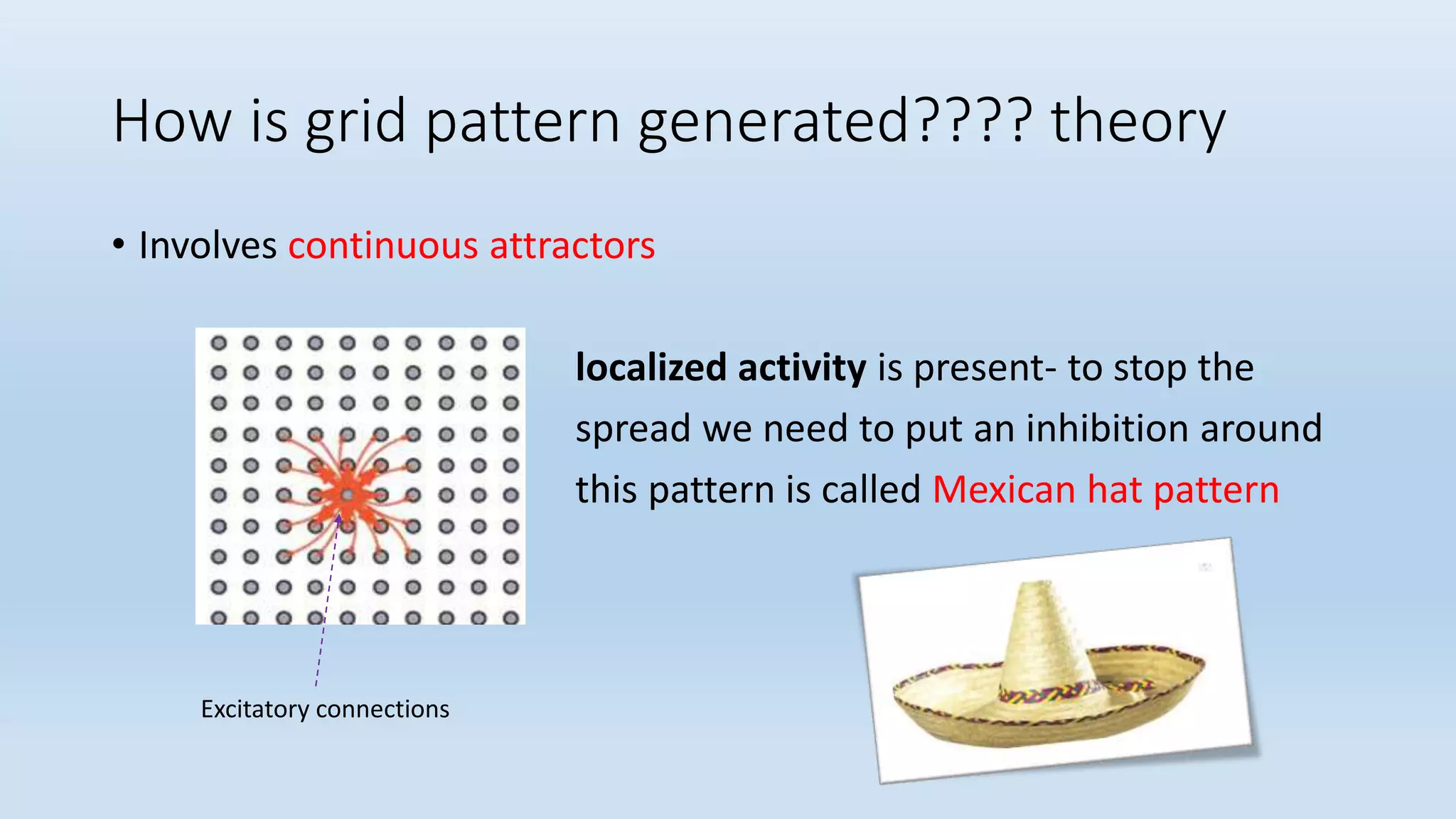How is grid pattern generated???? theory
• Involves continuous attractors
localized activity is present- to stop the
spread we need to put an inhibition around
this pattern is called Mexican hat pattern
Excitatory connections
 