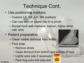 Technique Cont.
• Use positioning markers
– Custom LF, RF, LH, RH markers
– Can use coin or paper clip in a pinch
– Dorsal hoof wall markers: barium, horse shoe
nail, wire
• Patient preparation
– Clean visible dirt/mud from limbs
– Foot prep:
• Remove shoes
• Clean dirt/mud from bottom and outside of hoof
• Lightly pare sole if necessary
• Pack frog sulci with play-doh
 