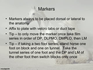 Markers
• Markers always to be placed dorsal or lateral to
the anatomy
• Affix to plate with velcro tabs or duct tape
• Tip – to only move the marker once take film
series in order of DP, DLPMO, DMPLO, then LM
• Tip – if taking a two foot series, stand horse one
foot on block and one on tunnel. Take the
tunnel series of one foot and the DP and LM of
the other foot then switch blocks only once
 