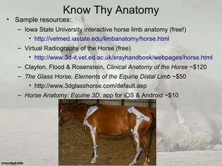 Know Thy Anatomy
• Sample resources:
– Iowa State University interactive horse limb anatomy (free!)
• http://vetmed.iastate.edu/limbanatomy/horse.html
– Virtual Radiography of the Horse (free)
• http://www.3d-it.vet.ed.ac.uk/xrayhandbook/webpages/horse.html
– Clayton, Flood & Rosenstein, Clinical Anatomy of the Horse ~$120
– The Glass Horse, Elements of the Equine Distal Limb ~$50
• http://www.3dglasshorse.com/default.asp
– Horse Anatomy: Equine 3D, app for iOS & Android ~$10
 