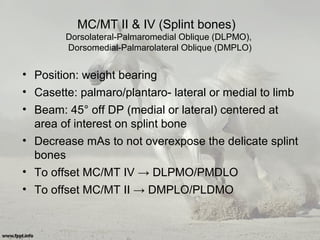 MC/MT II & IV (Splint bones)
Dorsolateral-Palmaromedial Oblique (DLPMO),
Dorsomedial-Palmarolateral Oblique (DMPLO)
• Position: weight bearing
• Casette: palmaro/plantaro- lateral or medial to limb
• Beam: 45° off DP (medial or lateral) centered at
area of interest on splint bone
• Decrease mAs to not overexpose the delicate splint
bones
• To offset MC/MT IV → DLPMO/PMDLO
• To offset MC/MT II → DMPLO/PLDMO
 