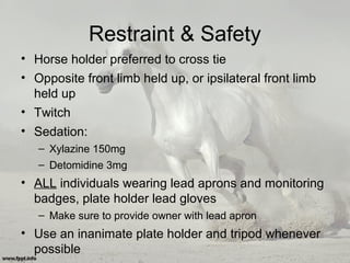Restraint & Safety
• Horse holder preferred to cross tie
• Opposite front limb held up, or ipsilateral front limb
held up
• Twitch
• Sedation:
– Xylazine 150mg
– Detomidine 3mg
• ALL individuals wearing lead aprons and monitoring
badges, plate holder lead gloves
– Make sure to provide owner with lead apron
• Use an inanimate plate holder and tripod whenever
possible
 