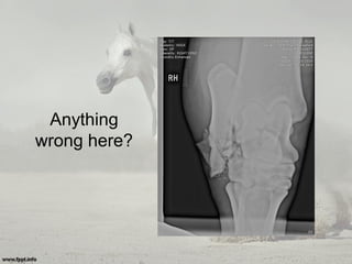 Anything
wrong here?
 