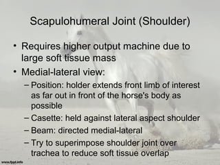 Scapulohumeral Joint (Shoulder)
• Requires higher output machine due to
large soft tissue mass
• Medial-lateral view:
– Position: holder extends front limb of interest
as far out in front of the horse's body as
possible
– Casette: held against lateral aspect shoulder
– Beam: directed medial-lateral
– Try to superimpose shoulder joint over
trachea to reduce soft tissue overlap
 