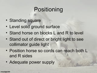 Positioning
• Standing square
• Level solid ground surface
• Stand horse on blocks L and R to level
• Stand out of direct or bright light to see
collimator guide light
• Position horse so cords can reach both L
and R sides
• Adequate power supply
 