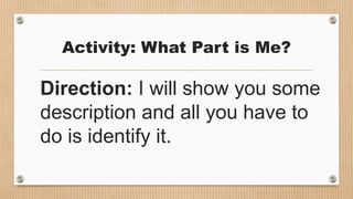 Activity: What Part is Me?
Direction: I will show you some
description and all you have to
do is identify it.
 