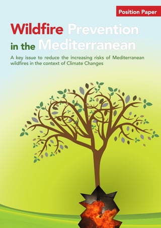 Wildfire Prevention 
in the Mediterranean 
A key issue to reduce the increasing risks of Mediterranean 
wildfires in the context of Climate Changes 
Position Paper 
 