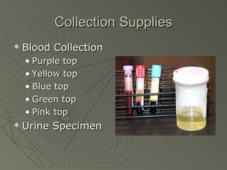 Collection Supplies
   Blood Collection
    • Purple top
    • Yellow top
    • Blue top
    • Green top
    • Pink top
   Urine Specimen
 