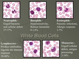 Neutrophils -         Basophils -         Eosinophils -
  Engulf bacteria       Hypersensitivity,   Parasitic infections,
  and cellular debris   Release histamine   Allergic response
  37-77%                0-1.6%              1-7%

                  White Blood Cells
Lymphocytes -                                   Monocytes -
Produce antibodies,                             Engulf cellular
regulate the immune                             debris, antigen
response                                        processing
10-44%                                          2-10%
 