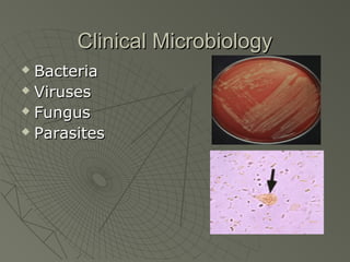 Clinical Microbiology
 Bacteria
 Viruses

 Fungus

 Parasites
 