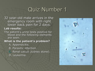 Quiz Number 1
32 year-old male arrives in the
  emergency room with right
  lower back pain for 2 days.
Lab results:
The patient’s urine tests positive for
  blood and the following elements
  are seen.
What is the patient’s problem?
   A. Appendicitis.
   B. Parasitic infection.
   C. Renal calculi (kidney stone).
   D. Leukemia.
 