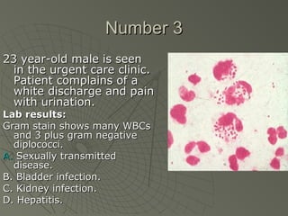 Number 3
23 year-old male is seen
  in the urgent care clinic.
  Patient complains of a
  white discharge and pain
  with urination.
Lab results:
Gram stain shows many WBCs
  and 3 plus gram negative
  diplococci.
A. Sexually transmitted
  disease.
B. Bladder infection.
C. Kidney infection.
D. Hepatitis.
 