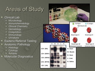 Areas of Study
   Clinical Lab
    •   Microbiology
    •   Immunohematology
    •   Clinical Chemistry
    •   Hematology
    •   Coagulation
    •   Immunology
    •   Urinalysis
   Esoteric/Referral Testing
   Anatomic Pathology
    •   Histology
    •   Cytology
    •   Autopsy
   Molecular Diagnostics
 