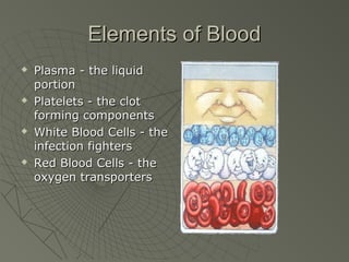Elements of Blood
   Plasma - the liquid
    portion
   Platelets - the clot
    forming components
   White Blood Cells - the
    infection fighters
   Red Blood Cells - the
    oxygen transporters
 