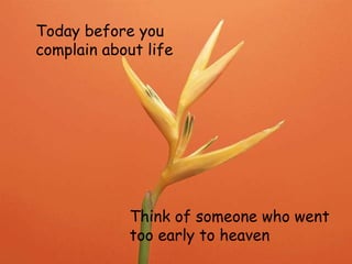 Today before you
complain about life
Think of someone who went
too early to heaven
 