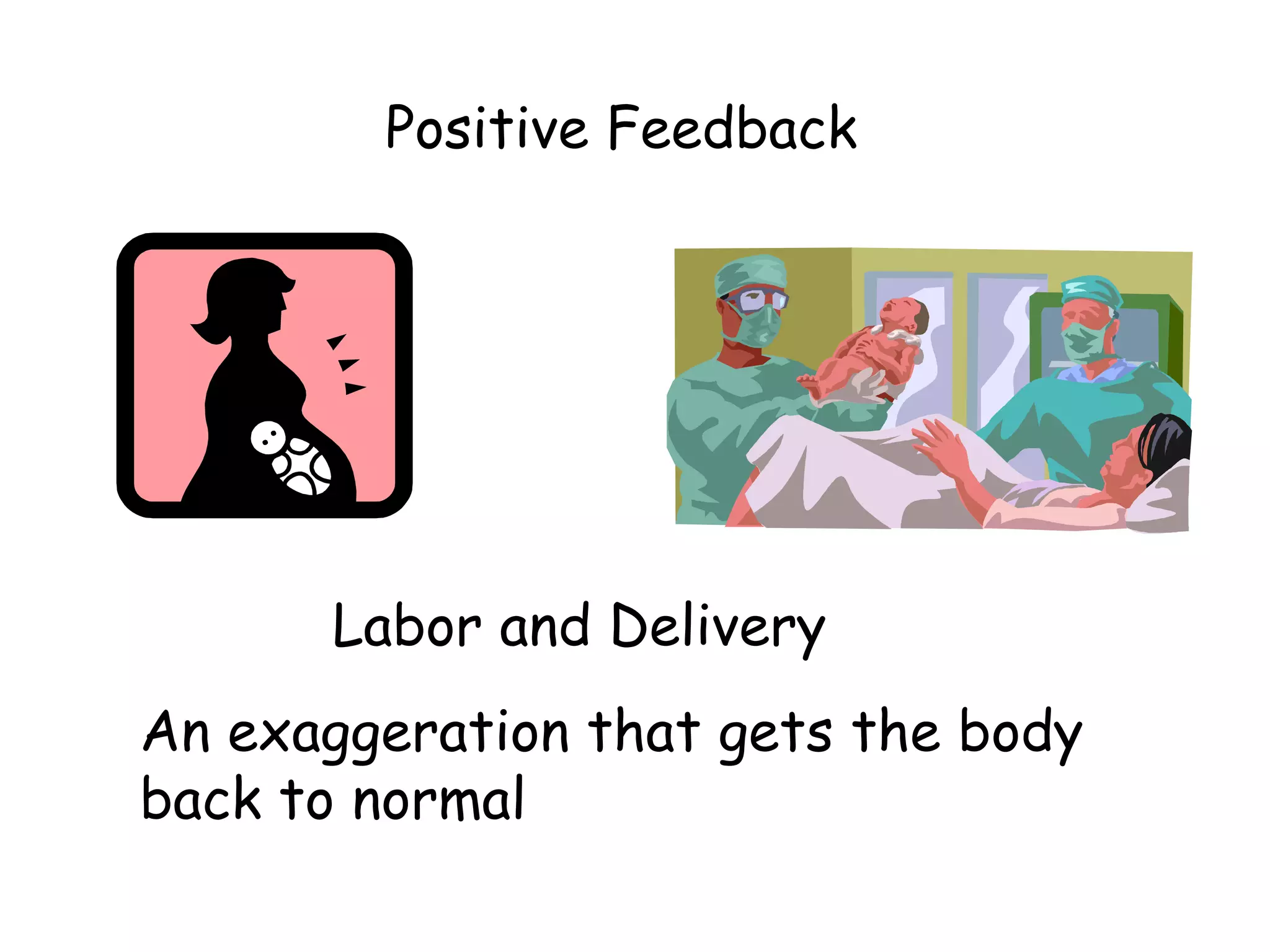 Positive Feedback Labor and Delivery An exaggeration that gets the body back to normal