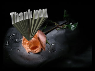 Positive and negative feedback