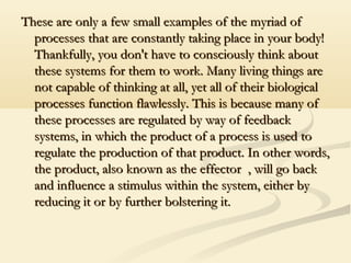 These are only a few small examples of the myriad ofThese are only a few small examples of the myriad of
processes that are constantly taking place in your body!processes that are constantly taking place in your body!
Thankfully, you don't have to consciously think aboutThankfully, you don't have to consciously think about
these systems for them to work. Many living things arethese systems for them to work. Many living things are
not capable of thinking at all, yet all of their biologicalnot capable of thinking at all, yet all of their biological
processes function flawlessly. This is because many ofprocesses function flawlessly. This is because many of
these processes are regulated by way of feedbackthese processes are regulated by way of feedback
systems, in which the product of a process is used tosystems, in which the product of a process is used to
regulate the production of that product. In other words,regulate the production of that product. In other words,
the product, also known as the effector , will go backthe product, also known as the effector , will go back
and influence a stimulus within the system, either byand influence a stimulus within the system, either by
reducing it or by further bolstering it.reducing it or by further bolstering it.
 