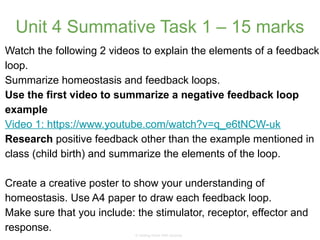 Feedback Loop In Science Understanding Homeostasis: Positive and Negative Feedback Mechanisms in ...