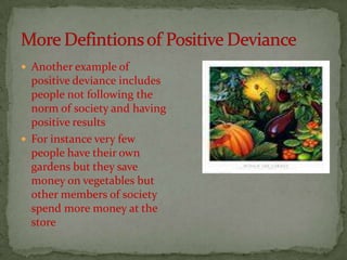 Group 3 Final Draft Presentation