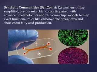 Synthetic Communities (SynComs): Researchers utilize
simplified, custom microbial consortia paired with
advanced metabolomics and "gut-on-a-chip" models to map
exact functional roles like carbohydrate breakdown and
short-chain fatty acid production.
 