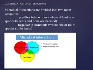 CLASSIFICATION OF INTERACTIONS
Microbial interactions are divided into two main
categories:
positive interactions (where at least one
species benefits and none are harmed)
negative interactions (where one or more
species suffer harm)
 