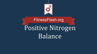 FitnessFlash.org
Positive Nitrogen
Balance
 