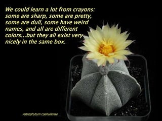 We could learn a lot from crayons:
some are sharp, some are pretty,
some are dull, some have weird
names, and all are different
colors...but they all exist very
nicely in the same box.




      Astrophytum coahuilense
 