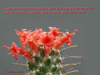 Ever notice that the people who are late are often much
jollier than the people who have to wait for them?




 Cochemiea poselgeri
 