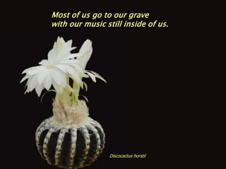 Most of us go to our grave
with our music still inside of us.




                Discocactus horstii
 