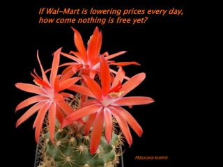 If Wal-Mart is lowering prices every day,
how come nothing is free yet?




                           Matucana krahnii
 