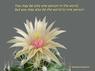 You may be only one person in the world,
but you may also be the world to one person.




                                   Escobaria wissmannii
 