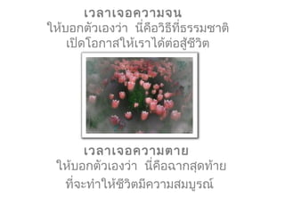 เวลาเจอความจน 
ให้บอกตัวเองว่า  นี่คือวิธีที่ธรรมชาติ
เปิดโอกาสให้เราได้ต่อสู้ชีวิต
 
เวลาเจอความตาย 
ให้บอกตัวเองว่า  นี่คือฉากสุดท้าย
ที่จะทำาให้ชีวิตมีความสมบูรณ์
 