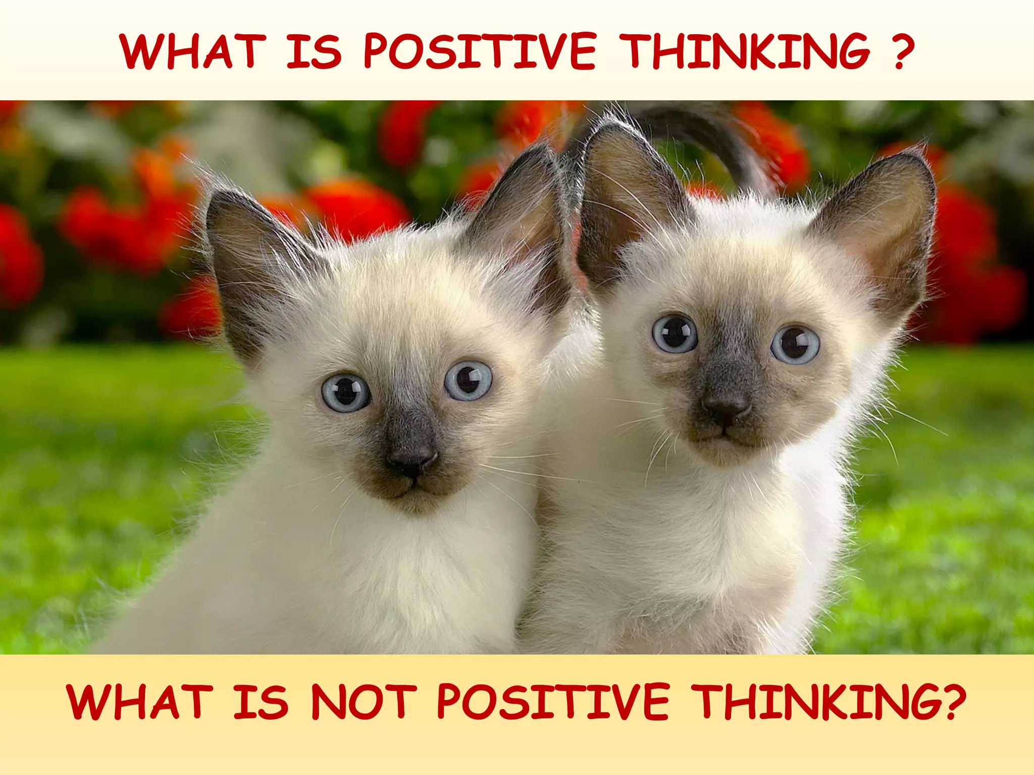 WHAT IS POSITIVE THINKING ?
WHAT IS NOT POSITIVE THINKING?
 