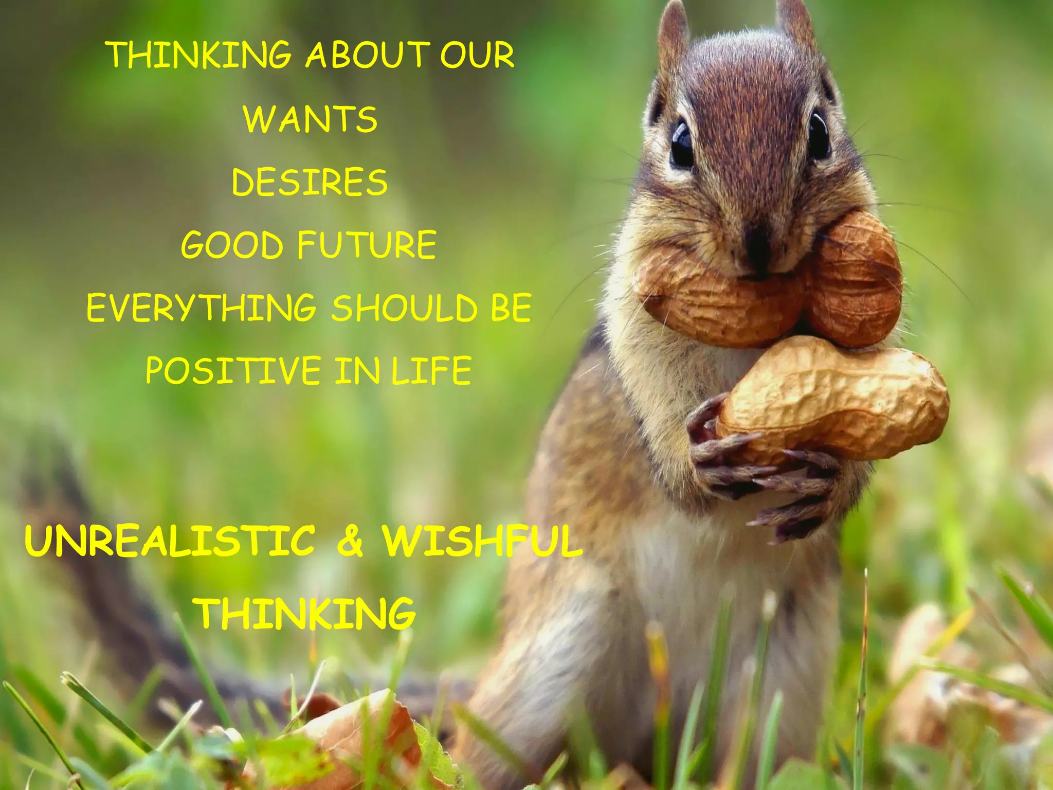 THINKING ABOUT OUR
WANTS
DESIRES
GOOD FUTURE
EVERYTHING SHOULD BE
POSITIVE IN LIFE
UNREALISTIC & WISHFUL
THINKING
 