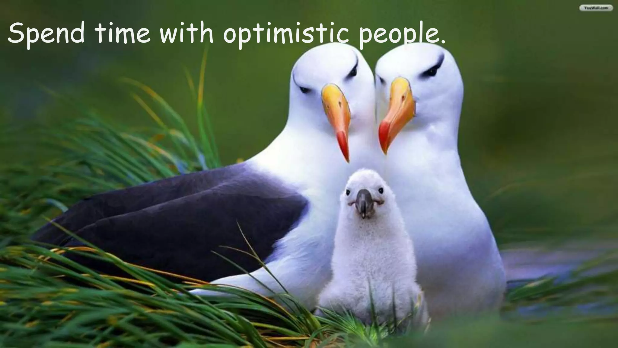 Spend time with optimistic people.