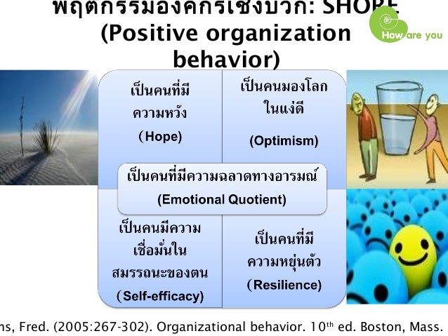 Legal cognitive enhancers uk picture 2