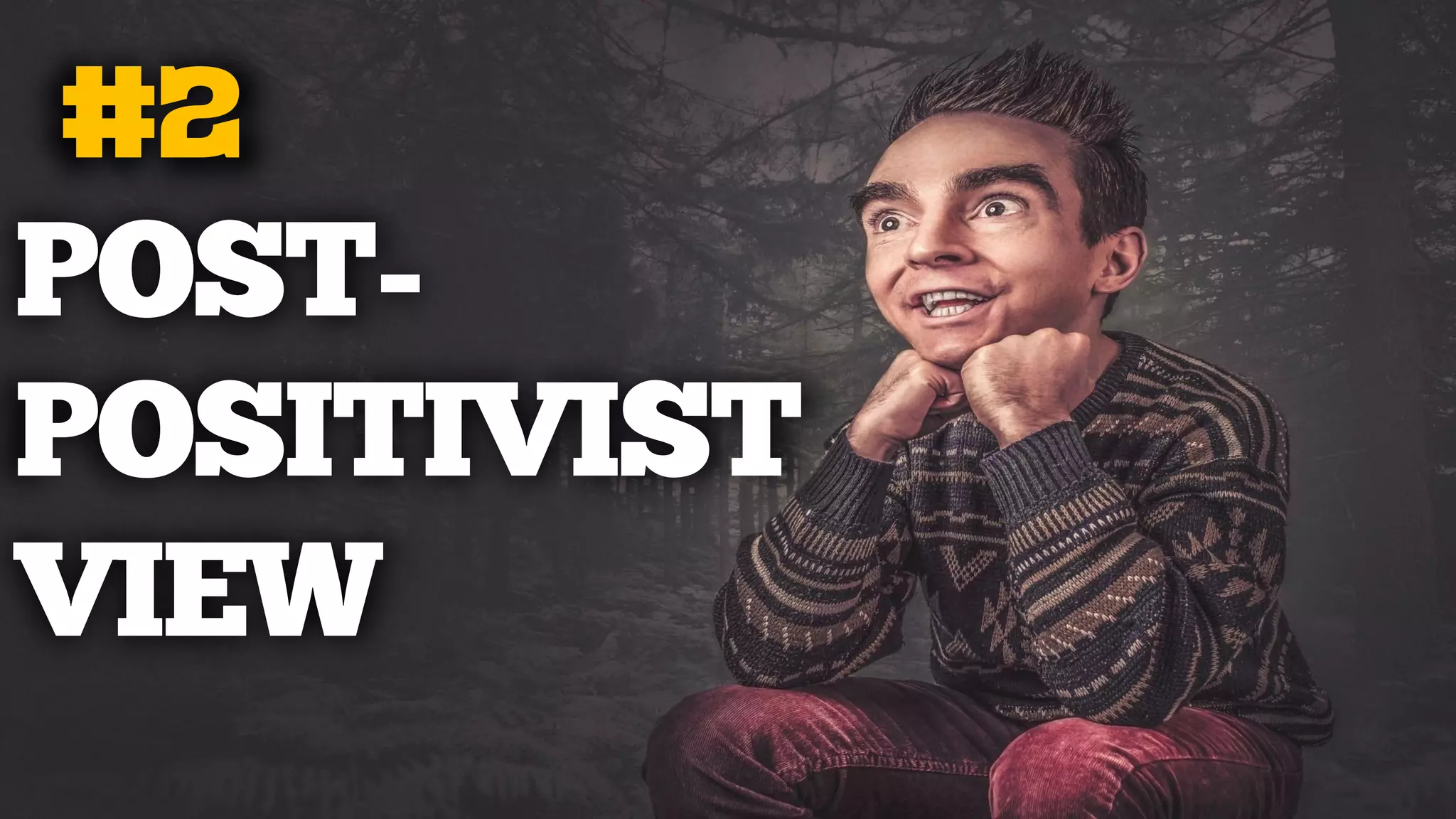 #2
POST-
POSITIVIST
VIEW
 