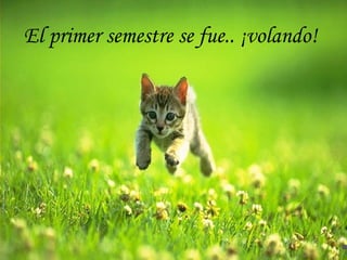 El primer semestre se fue.. ¡volando!