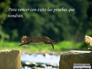Para vencer con éxito las pruebas que vendrán,