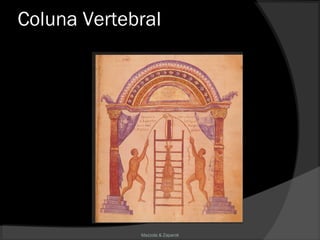 Mazzola & Zaparoli
Coluna Vertebral
 