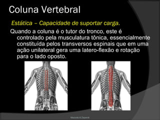 Mazzola & Zaparoli
Quando a coluna é o tutor do tronco, este é
controlado pela musculatura tônica, essencialmente
constituída pelos transversos espinais que em uma
ação unilateral gera uma latero-flexão e rotação
para o lado oposto.
Coluna Vertebral
Estática – Capacidade de suportar carga.
 