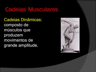 Cadeias Dinâmicas:
composto de
músculos que
produzem
movimentos de
grande amplitude.
Cadeias Musculares
 